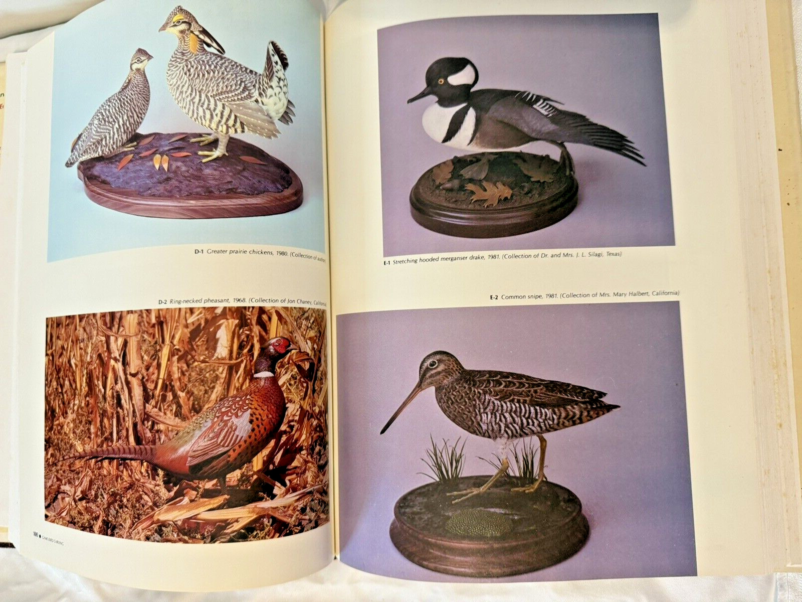 Game Bird Carving Tools Techniques Bruce Burk Vintage Book 1972 HC DJ Decoy