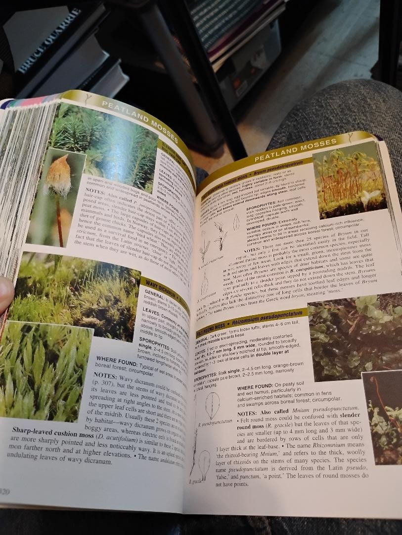 Plants of the Western Boreal Forest & Aspen Parkland VG+ Condition