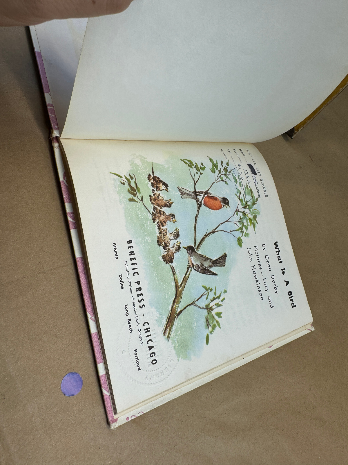 What is A Bird (The What is it series) 1960 Gene Darby Vtg Childrens book b