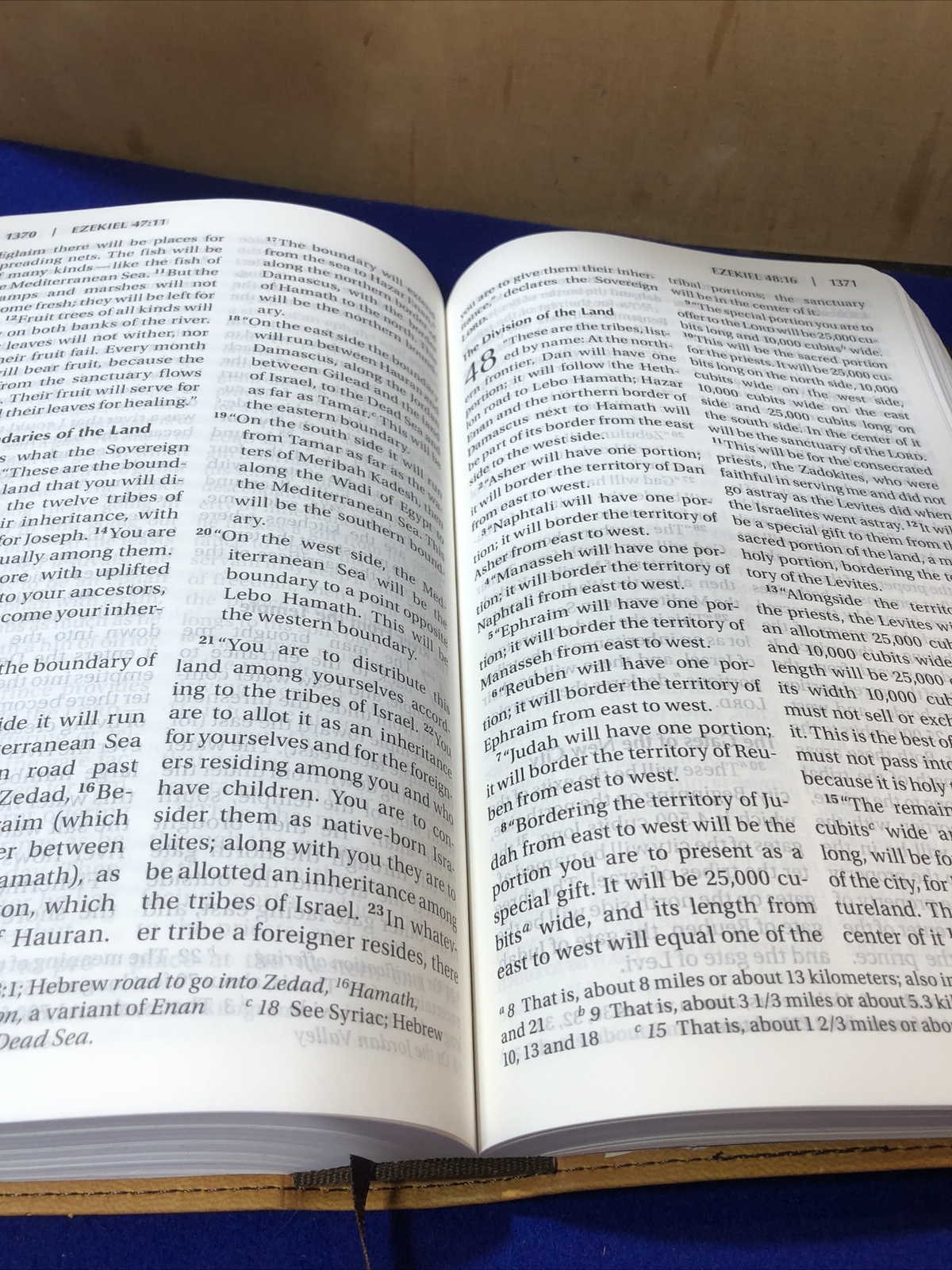 NIV Pew Large Print BIBLE Large Print Leathersoft