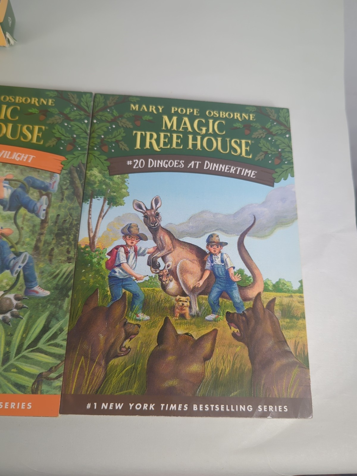 Magic Tree House Books 17-20 Boxed Set By Mary Pope Osborne