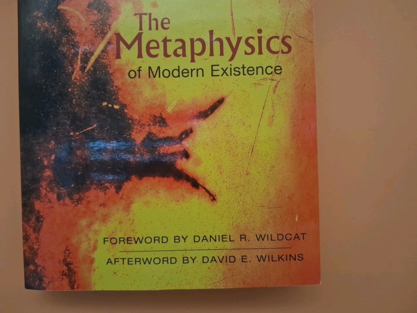 The Metaphysics of Modern Existence, Wilkins, David,Wildcat, Daniel,Deloria Jr.,