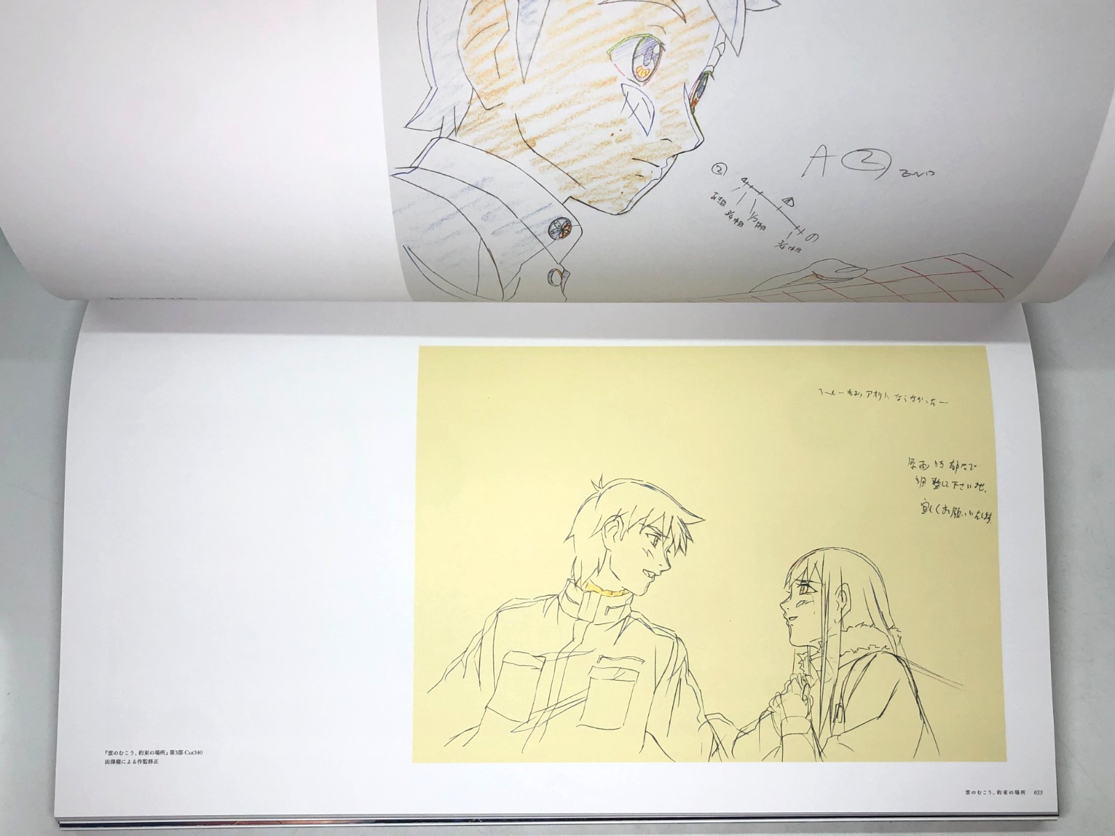 Exhibition of Shinkai Makoto – Artbook, Your name, Voices of a Distant Star,