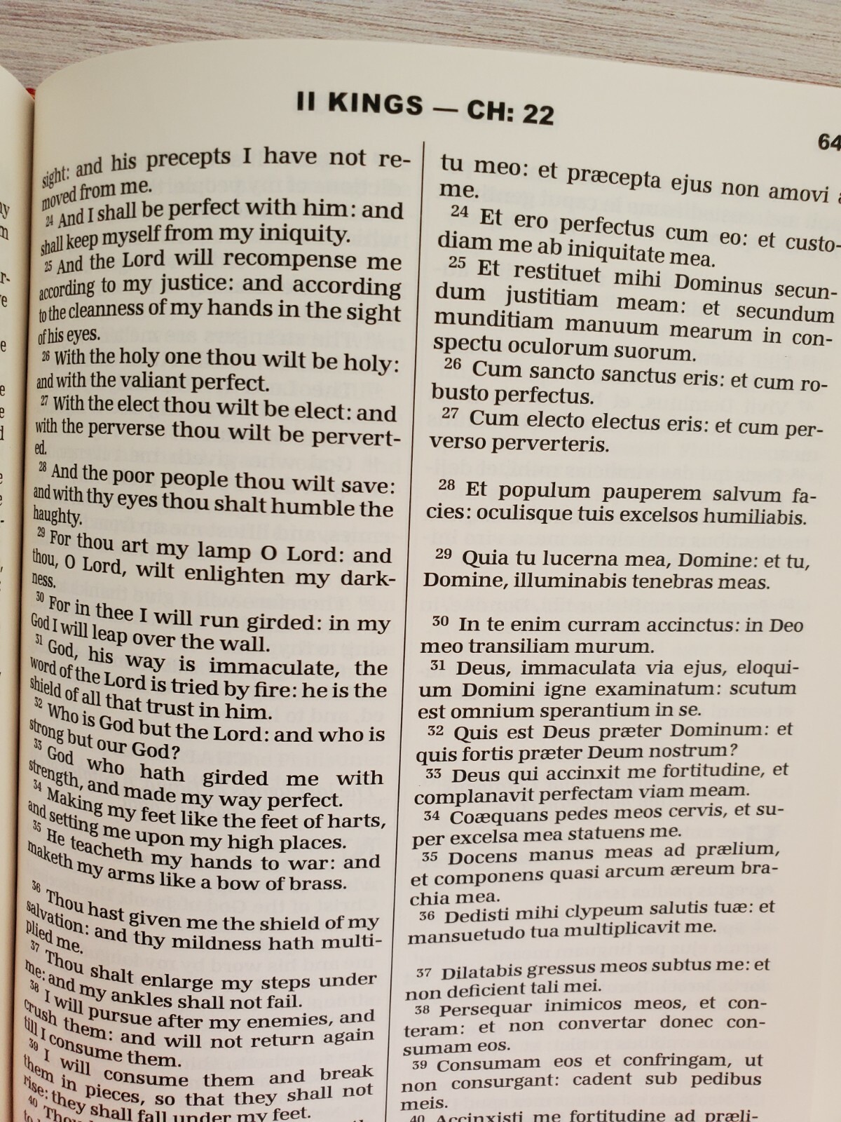 Bible Latin/English The Old Testament Volume 1 Vulgate & Challoner Rheims