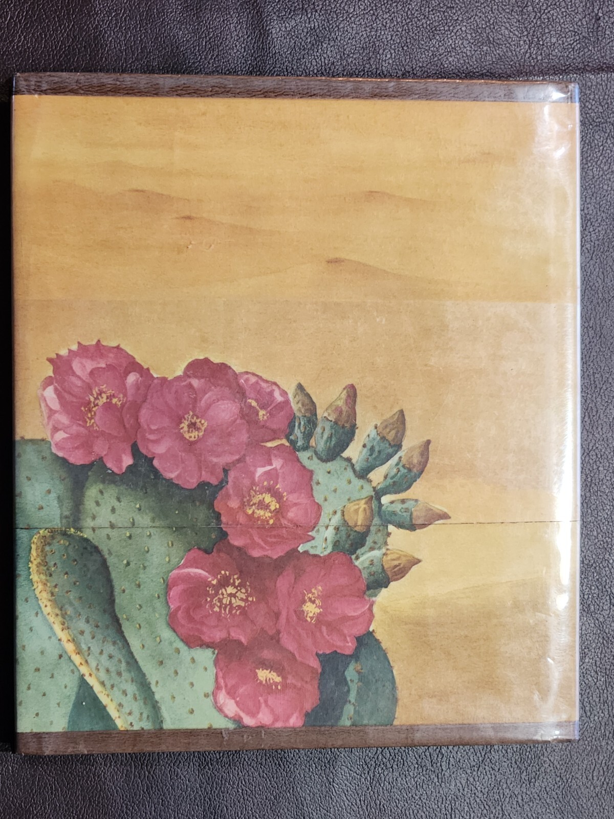 YIPPY ~ SIGNED by Elizabeth Rice 1971 hcdj FIRST EDTION ~ Scarce Collectible