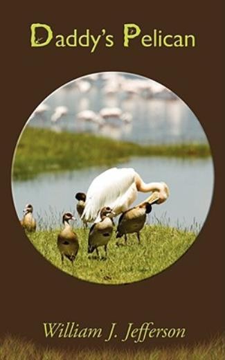 Daddy’s Pelican