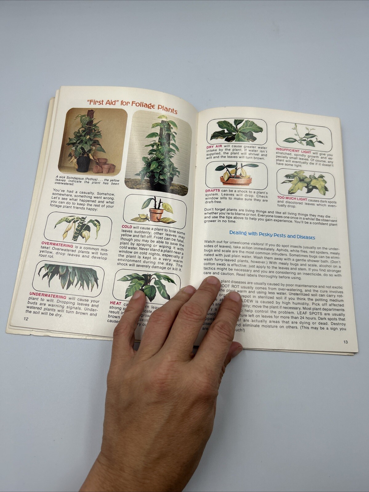 Living With Happy Plants Reference Guide Booklet + Color Photos 34 Pages B2-B2