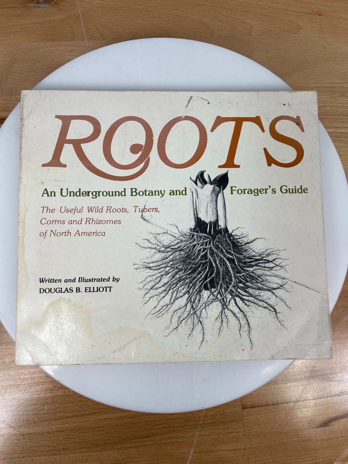 Roots Underground Botany Forager Guide Douglas B Elliott Vintage PB 1979