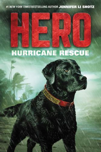 Hero: Hurricane Rescue by Jennifer Li Shotz (2017, Trade Paperback) BRAND NEW