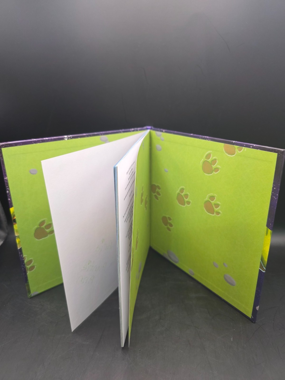 How to Catch a Dinosaur by Adam Wallace (2019 Picture Book)