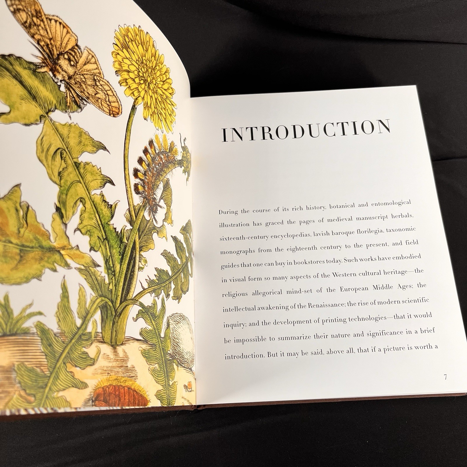 Botanicals : Butterflies and Insects by Leslie K. Overstreet (2008, Hardcover)