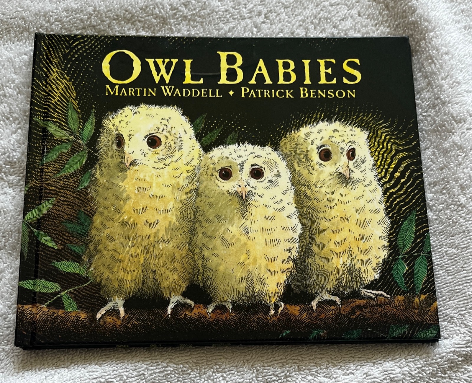 Owl🦉Babies📘Candlewick📀Storybook🥚Animations Book +DVD Martin Waddell FreeShip