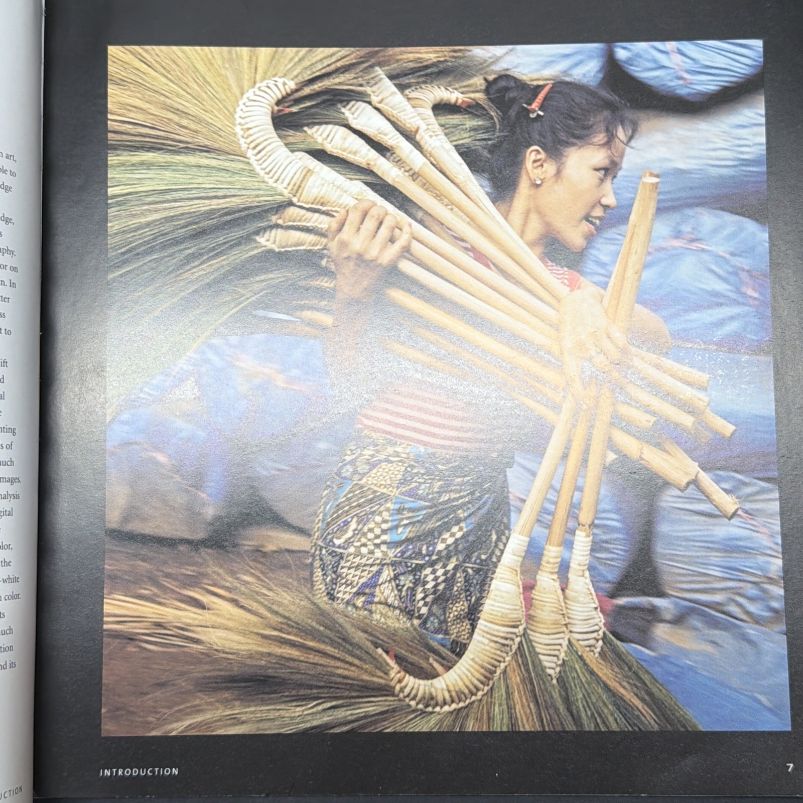 The Photographer’s Eye Michael Freeman 2007 Focal Press Photography Book