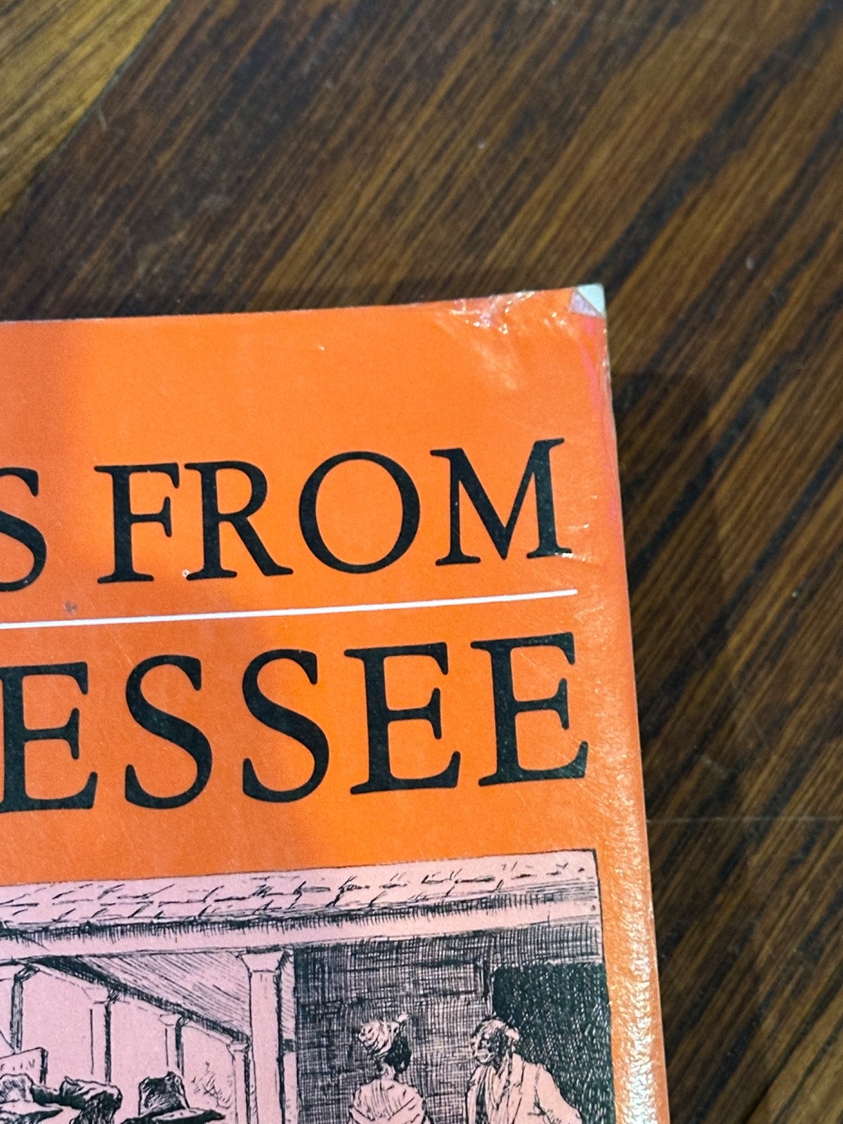 Stories From Tennessee Linda Burton 1st ed Well-known Authors PB See Pictures