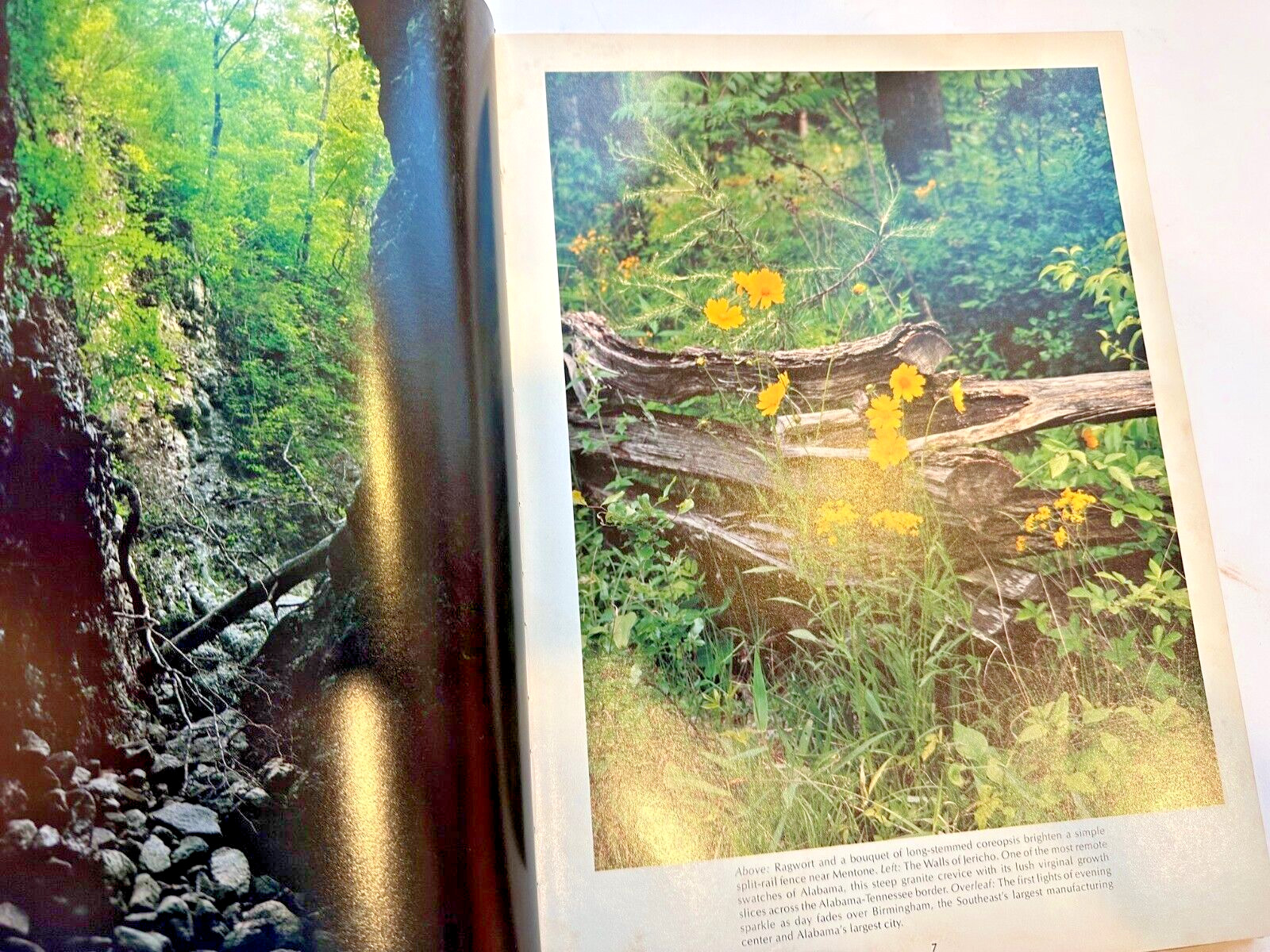 Alabama Book Photo And History Photos By Ed Malles Text By Coley Duncan