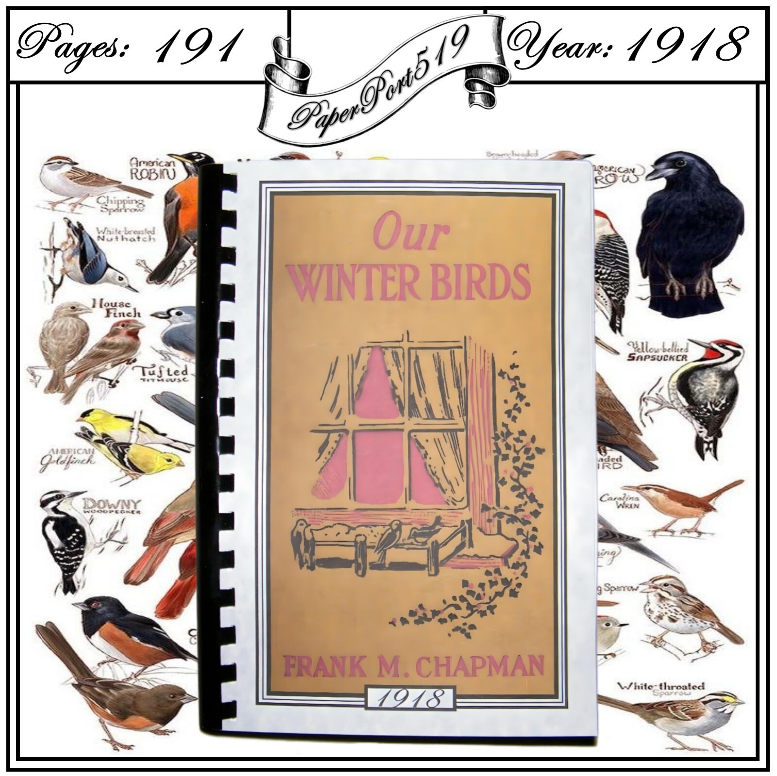 1918 Our Winter Birds How To Know And How To Attract Them 191 Pages