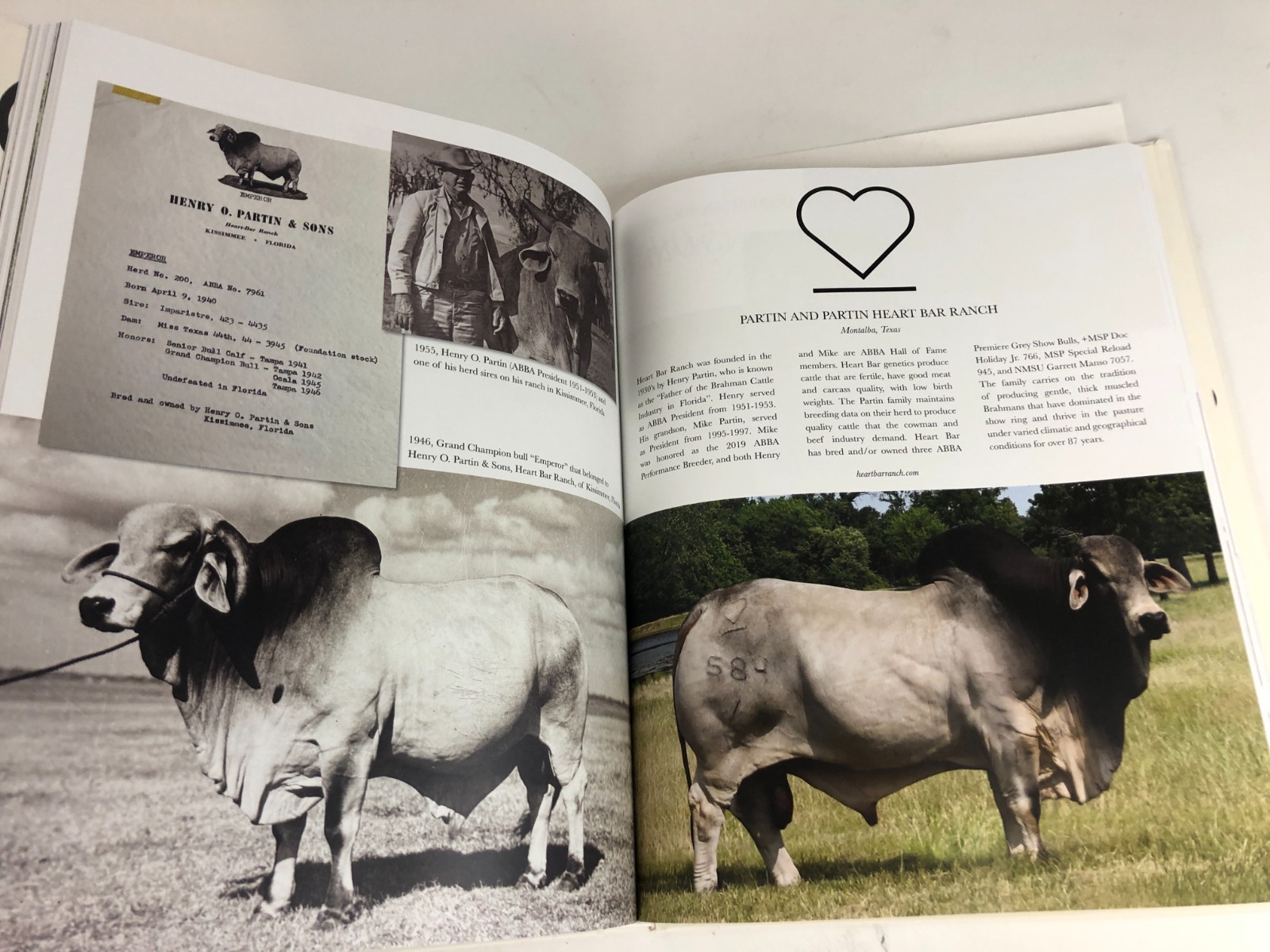 hardcover book – 100 Years of American Brahman Breeders Association 1924-2024