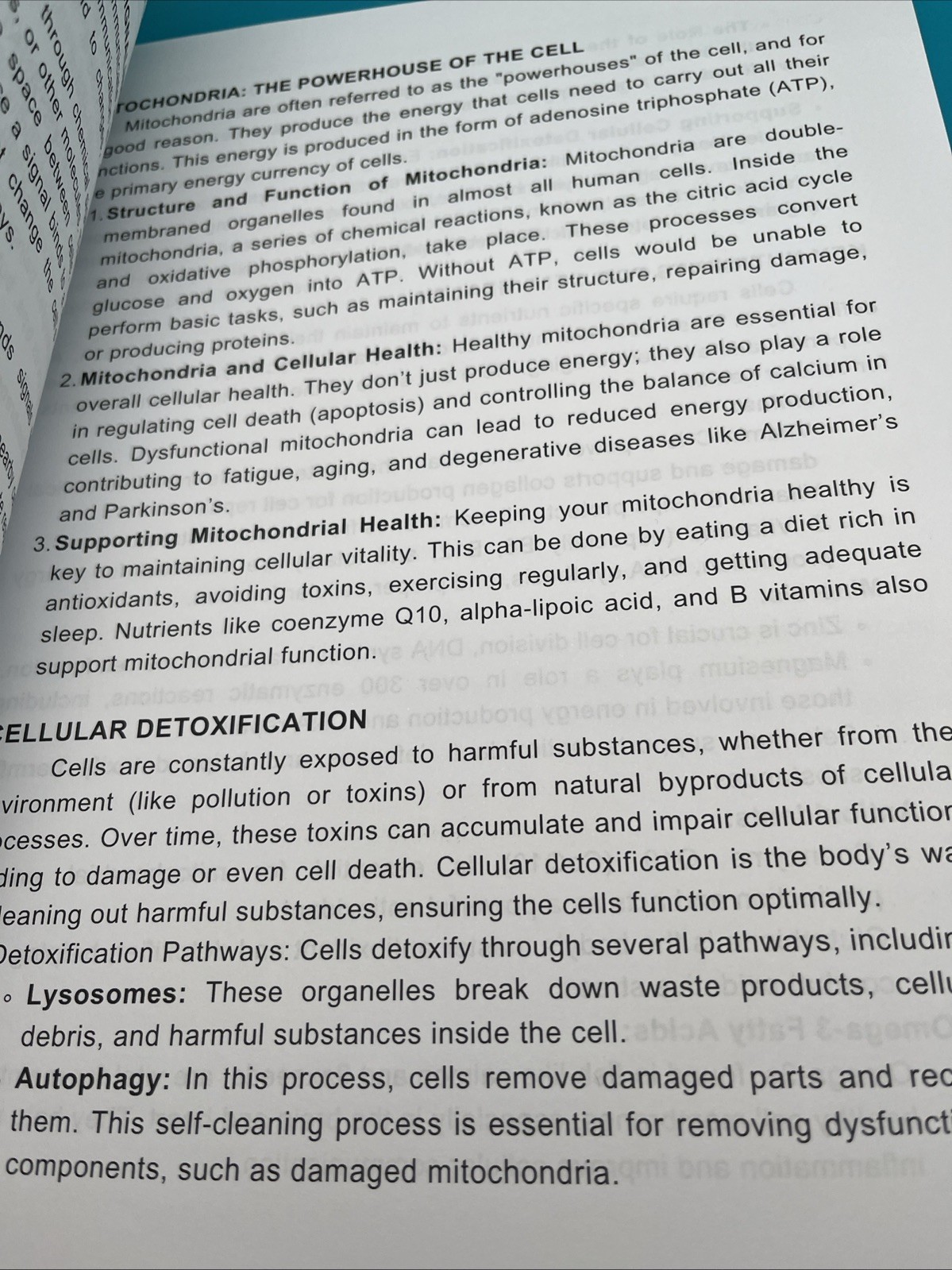 The Cellular Health Natural Remedies Encyclopedia 250 Herbal Healing Remedies