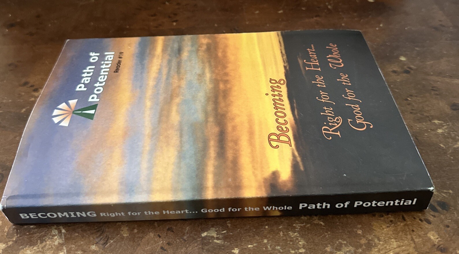 Becoming : Right for the Heart, Good for the Whole by Joan Holliday Excellent