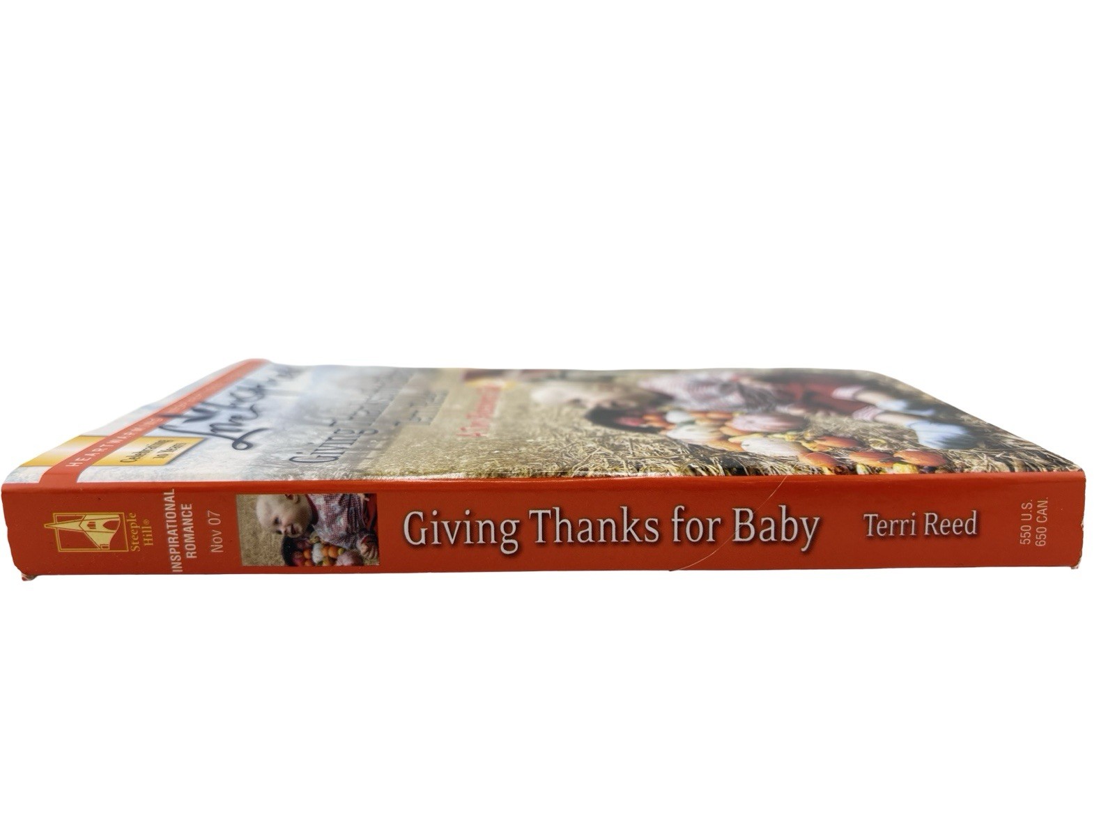 Giving Thanks for Baby by Terri Reed 2007 Love Inspired Christian Romance PB
