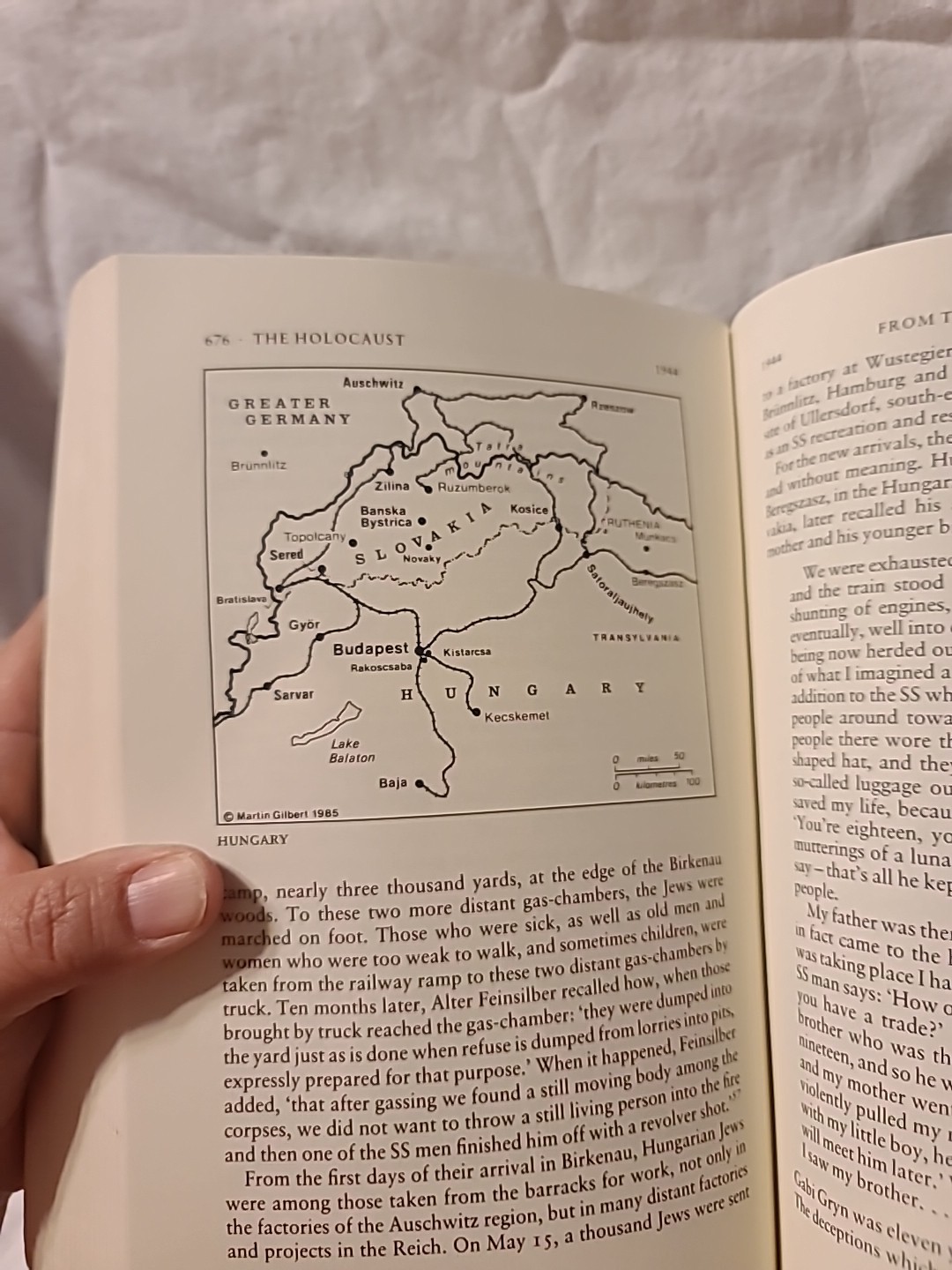 (D) The Holocaust: A History Of The Jews Of Europe By Martin Gilbert (PB 1987)