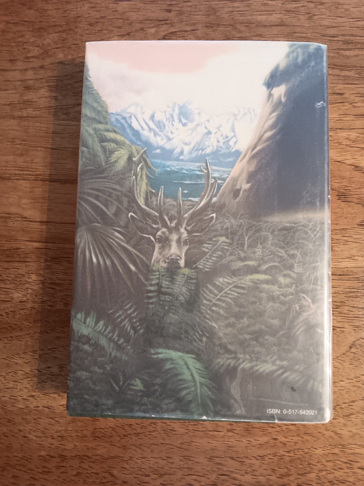 THE CLAN OF THE CAVE BEAR by Jean Auel 1980 Crown HCDJ 1st Edition 1st Printing