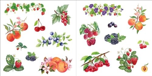 Bunches of Botanicals Sticker Book (Over 500 stickers!) – NEW