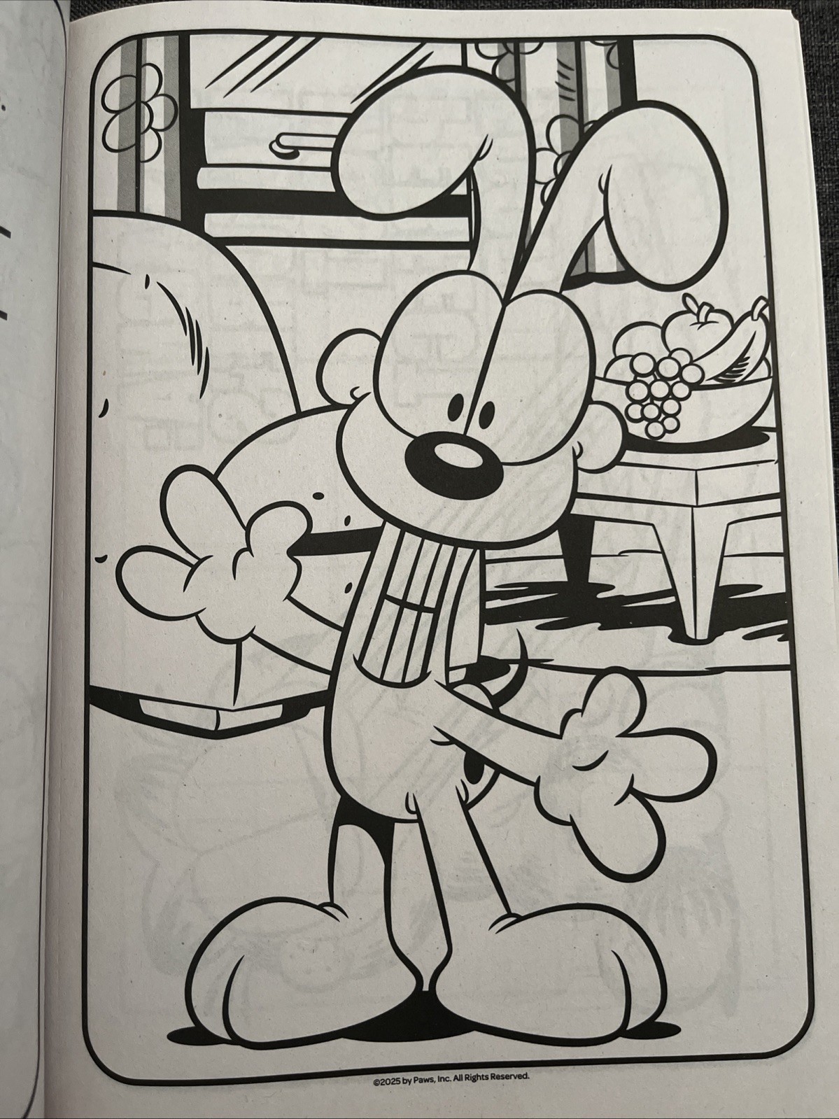 Garfield Jumbo Coloring & Activity Book Puzzles Games & Pages to Color Bendon