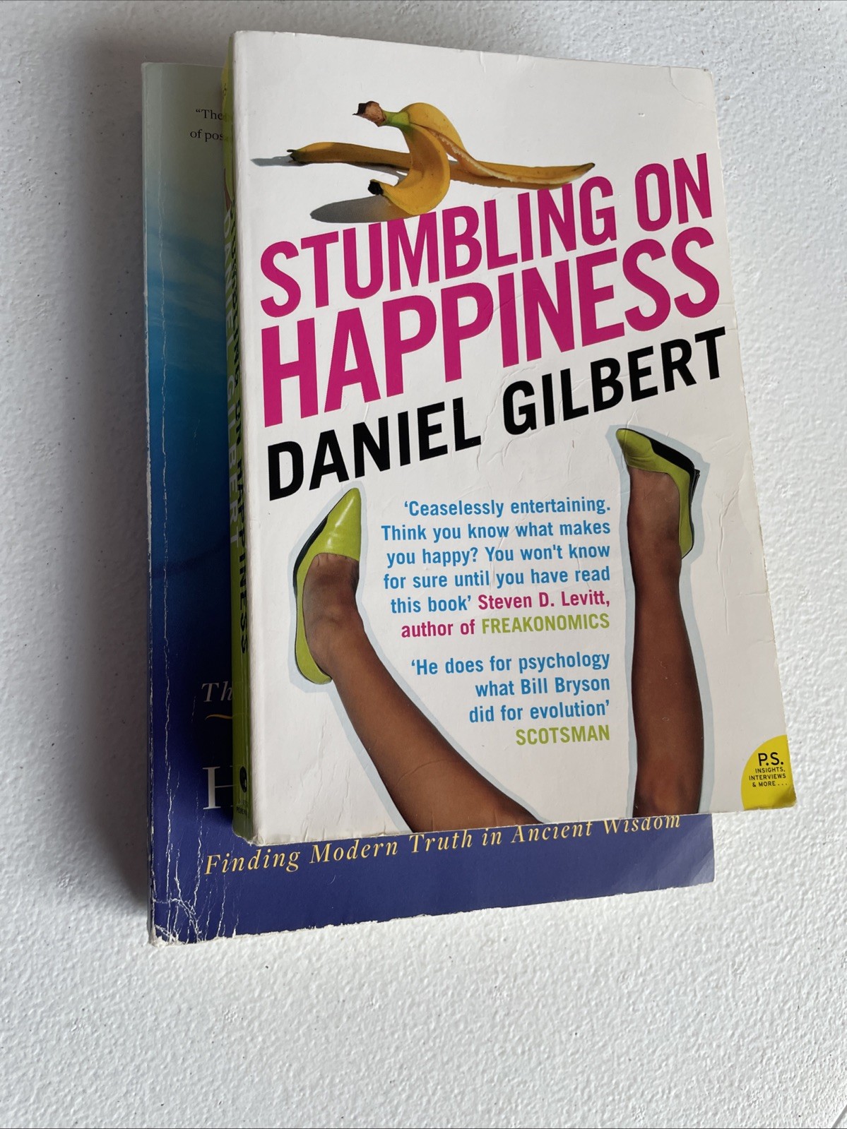 Happiness Hypothesis : Finding Modern Truth in Ancient Wisdom by Jonathan Haidt