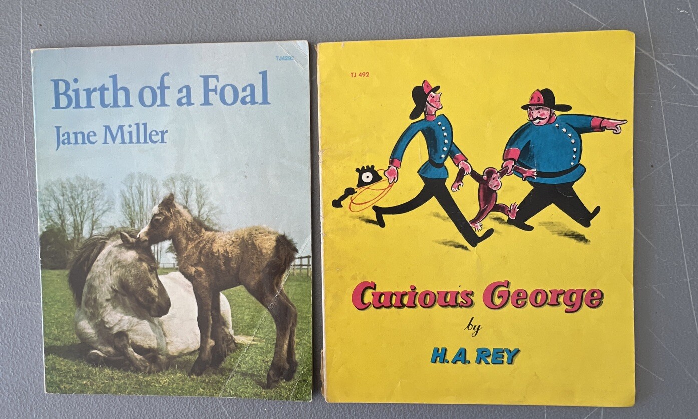 Mixed Lot of 17 Children’s Books Age 3-5 Paperback