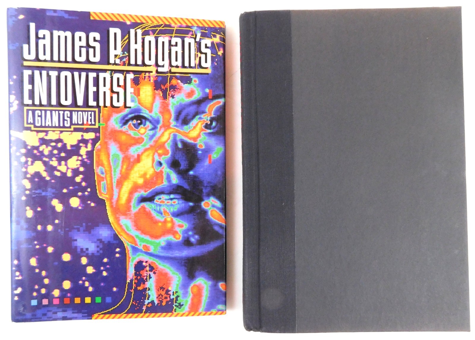 ENTOVERSE A Giant’s Novel JAMES HOGAN 1st Edition 1991 Del Ray 418 pages HCDJ