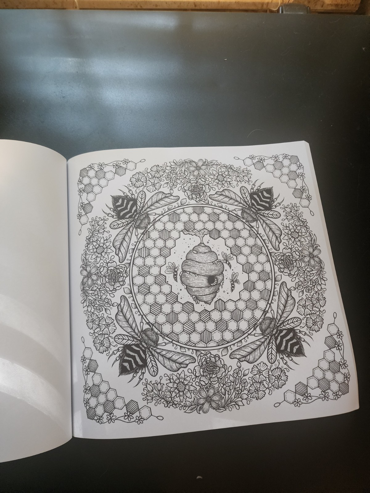 Nature Mandalas Coloring Books, A Coloring Meditation, by Chatzipanagiotou