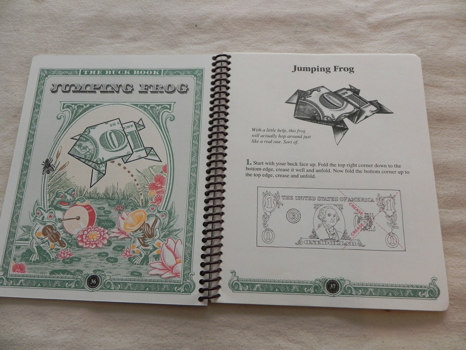 The Buck Book, Things To Do With A Dollar Bill, Anne Akers Johnson