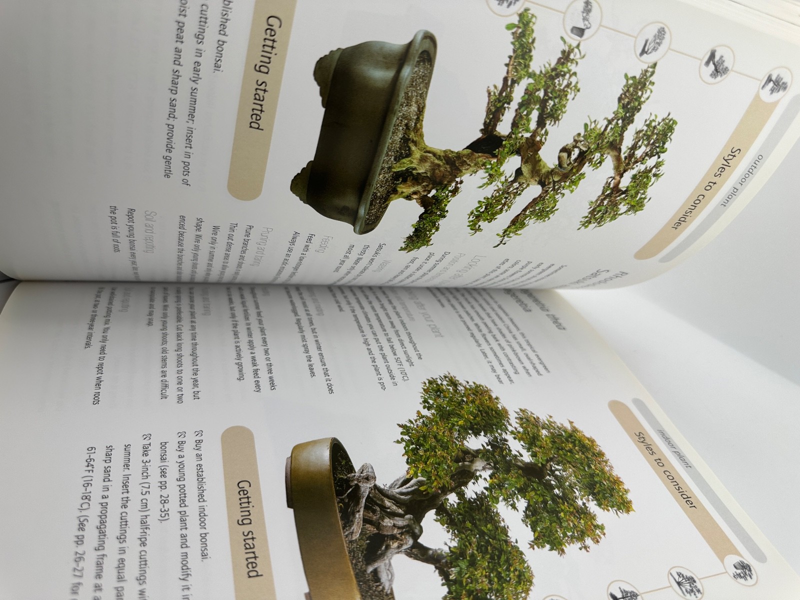 Successful Bonsai David Squire 2006 Firefly Books PB Gardening