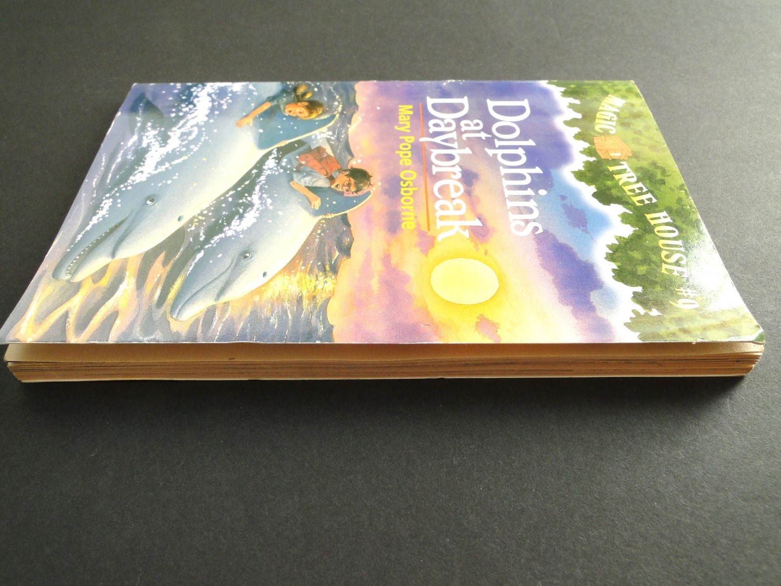 1997 Magic Tree House: Dolphins at Daybreak #9 by Mary Pope Osbourne