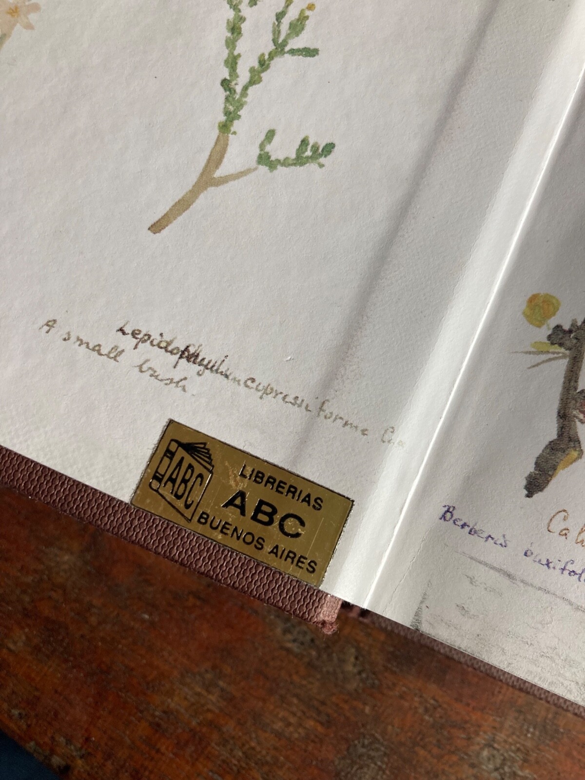A Story of Patagonia by John Blake signed by the author, from ABC Librarias ARG