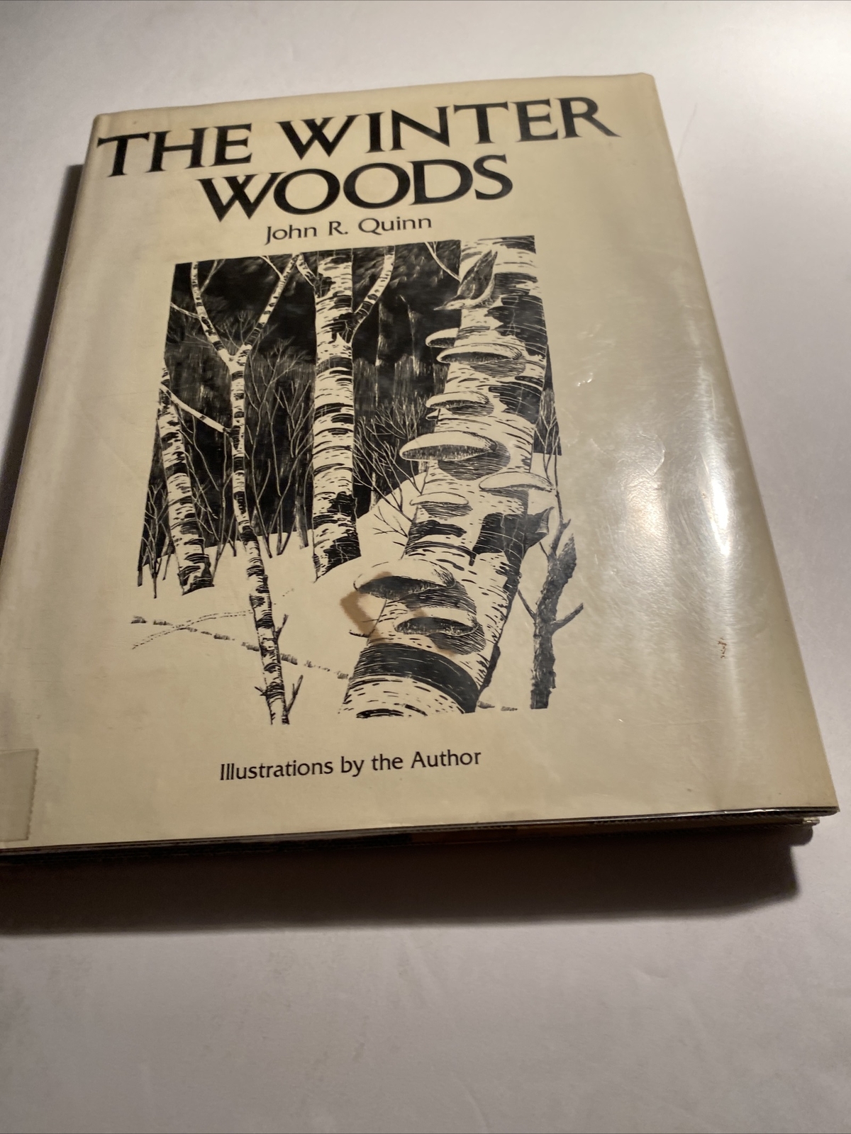 The Winter Woods and The Summer Woodlands by John Quinn Hardcover X library abi