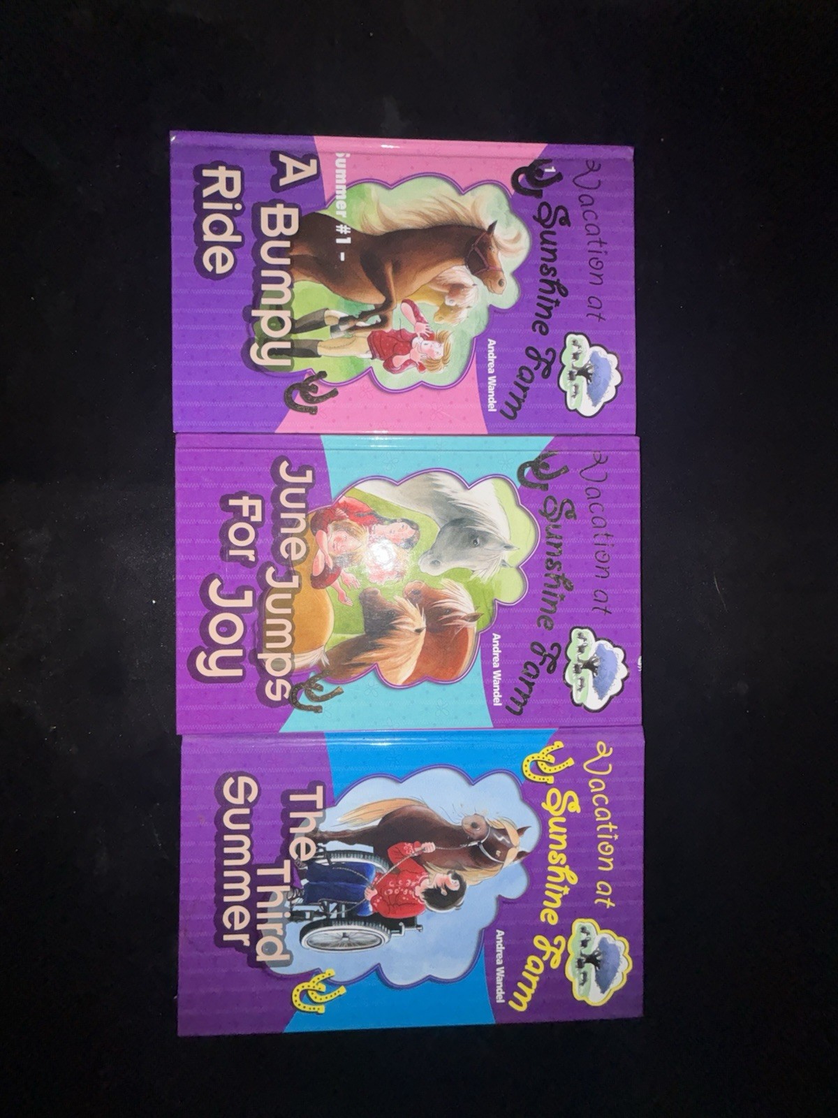Vacation At Sunshine farm Books -Andrea Wandel Lot Of Books