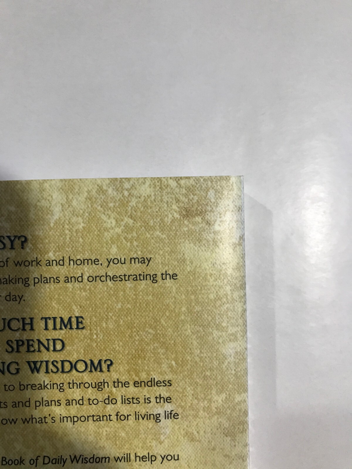 The One Year Book of Daily Wisdom by Neil Wilson