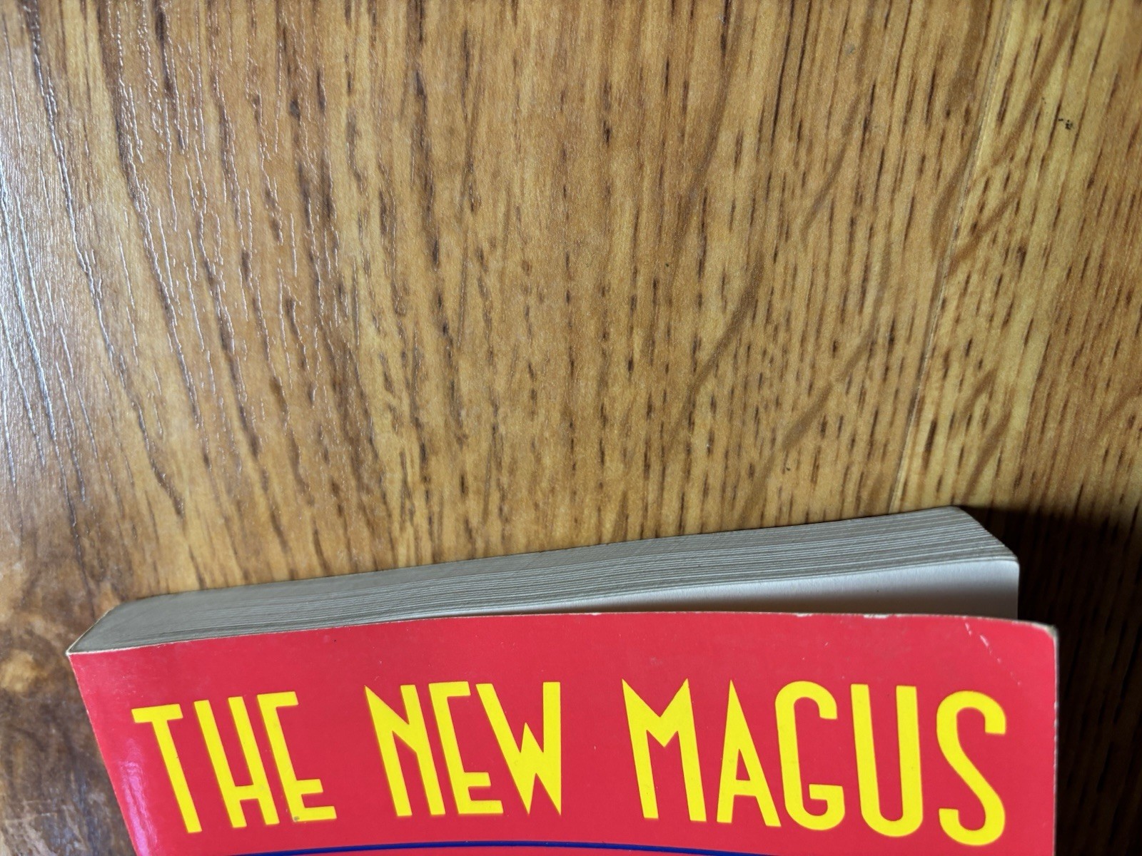 The New Magus Donald Tyson Ritual Magic Personal Process Occult Book
