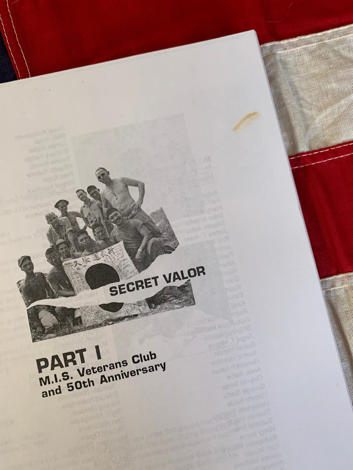 SECRET VALOR MILITARY INTELLIGENCE SERVICE MIS NISEI LINGUISTS Book FREE US MAIL