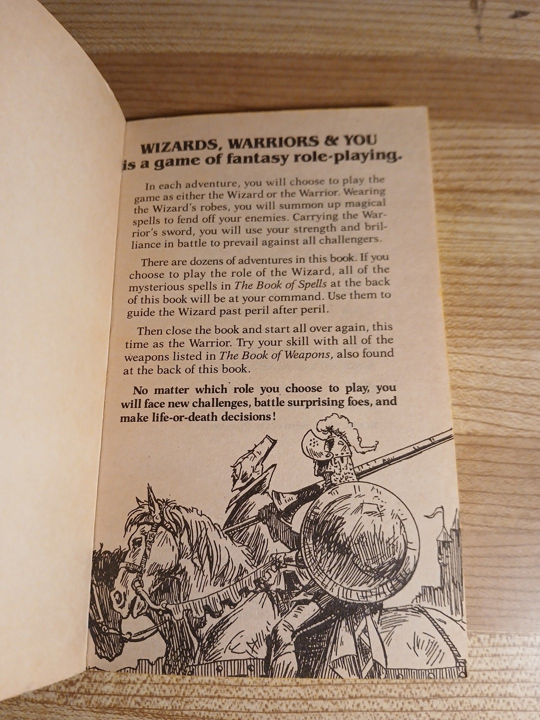 Wizards Warriors & You Book 13 Cavern Of The Phantoms By R. L. Stine CYOA