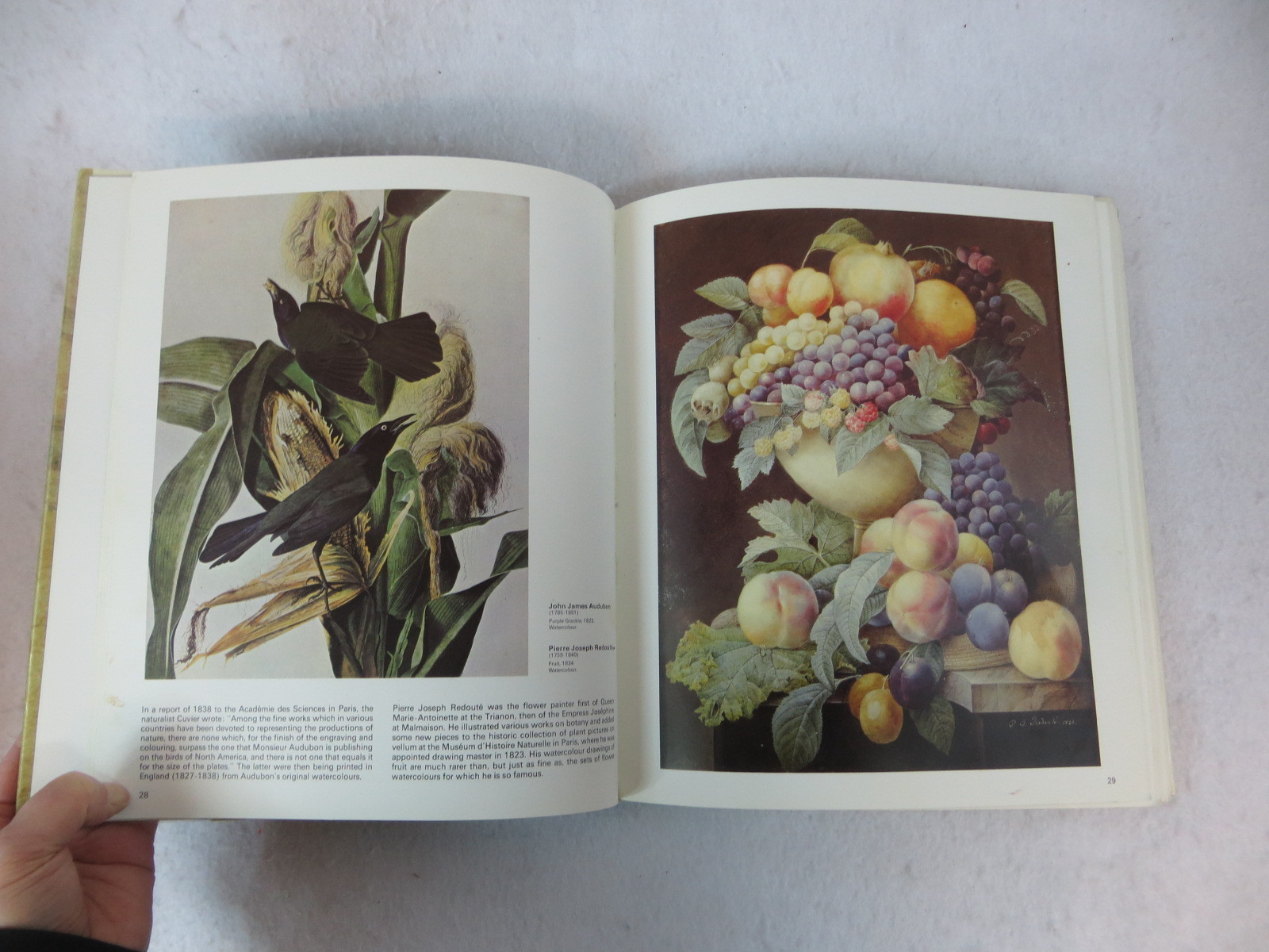 Jean Leymarie WATERCOLORS FROM DURER TO BALTHUS Skira 1984