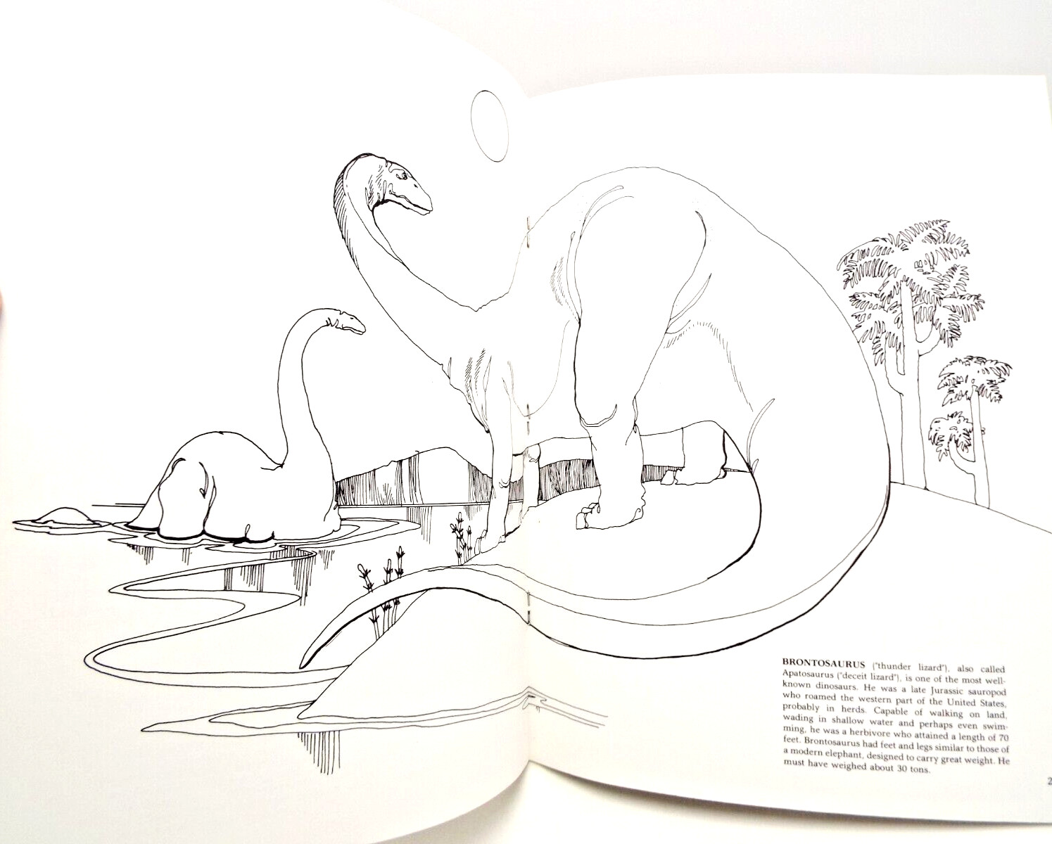 The Dinosaur Coloring Book by Anthony Rao (PB) & 2 Dinosaur Sticker Sets Vintage