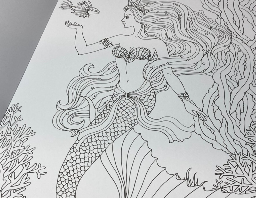 ENCHANTED Coloring Book Poster Art 20 pages