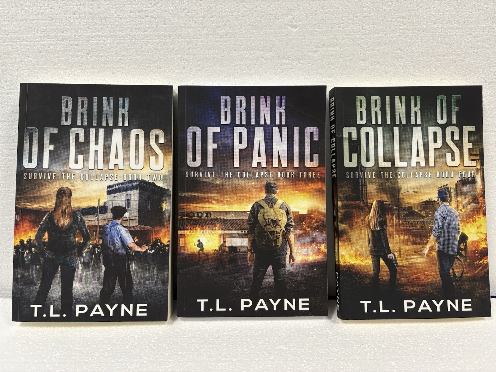 Lot Of 6 Books By T. L. Payne: Rain Of Darkness (1,3,4) & Survive The Collapse