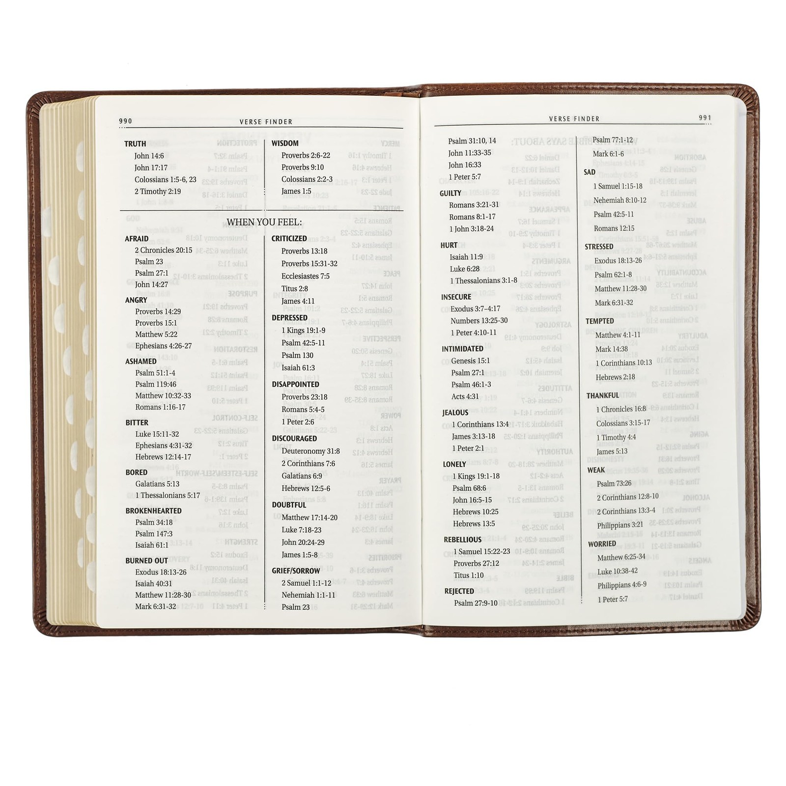 Holy Bible, Standard Size Faux Leather Red Letter Edition Thumb Index & Ribbon..