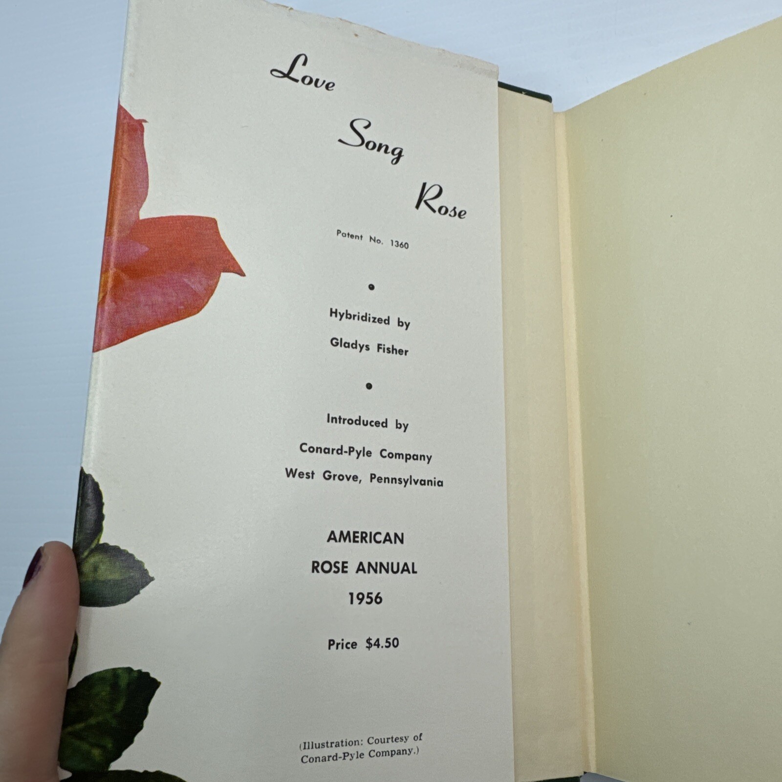 American Rose Annual 1956 Fred J Nisbet Beautiful Pictures Greenfield Printing