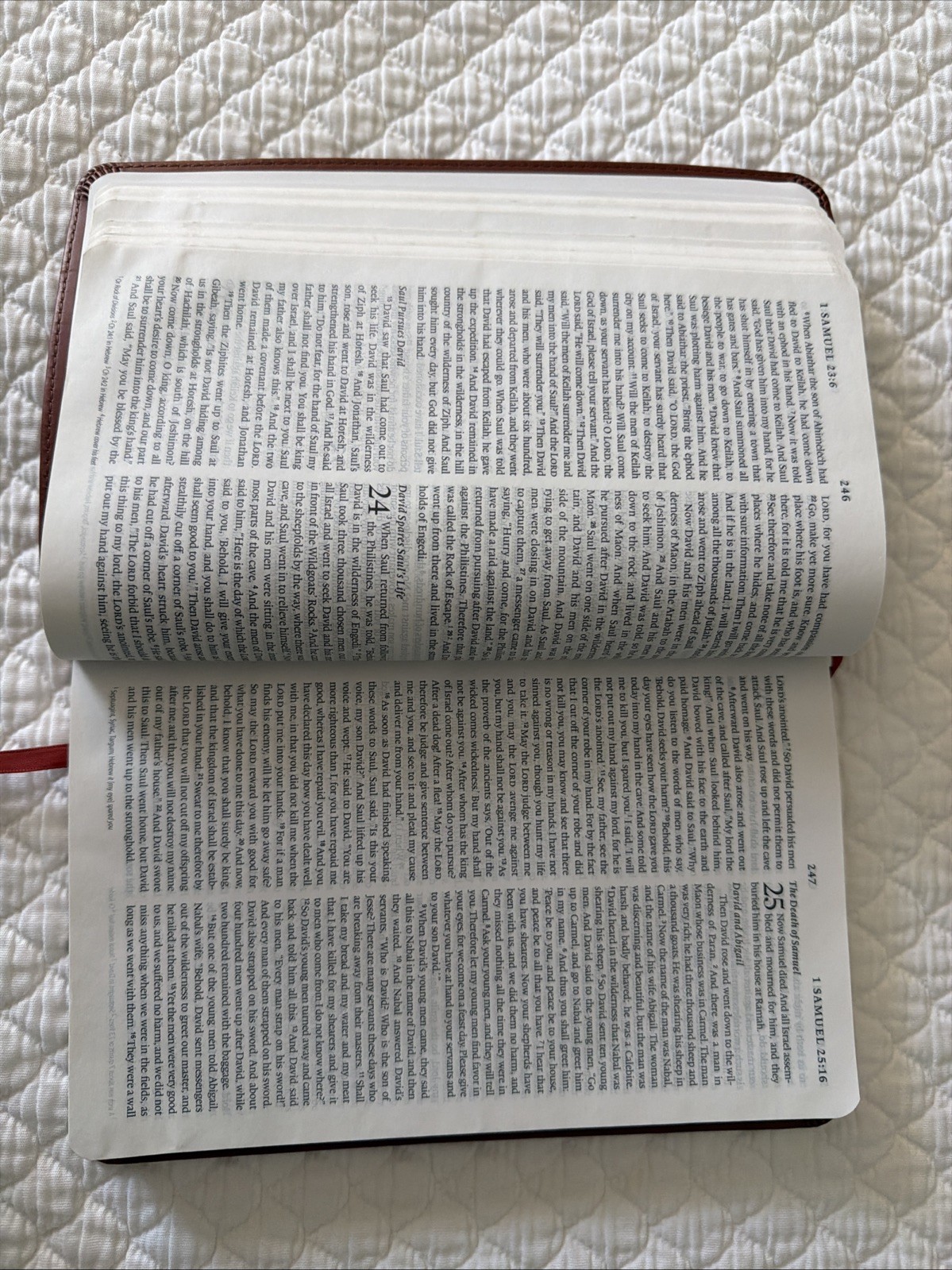 ESV Thinline Bible TruTone Nutmeg Filigree Design Red Letter Text 9781581347210