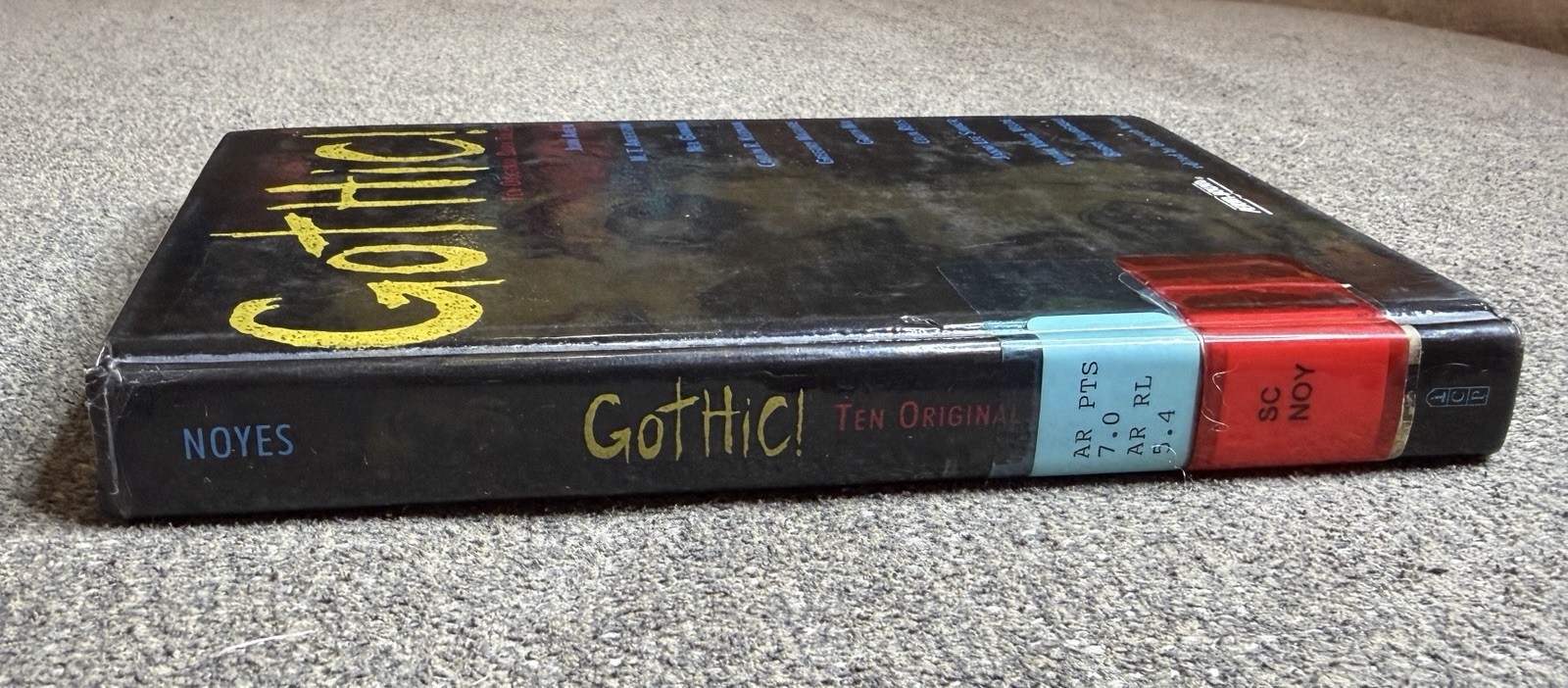 Gothic! Ten Original Dark Tales HC Deborah Noyes YA Horror Anthology